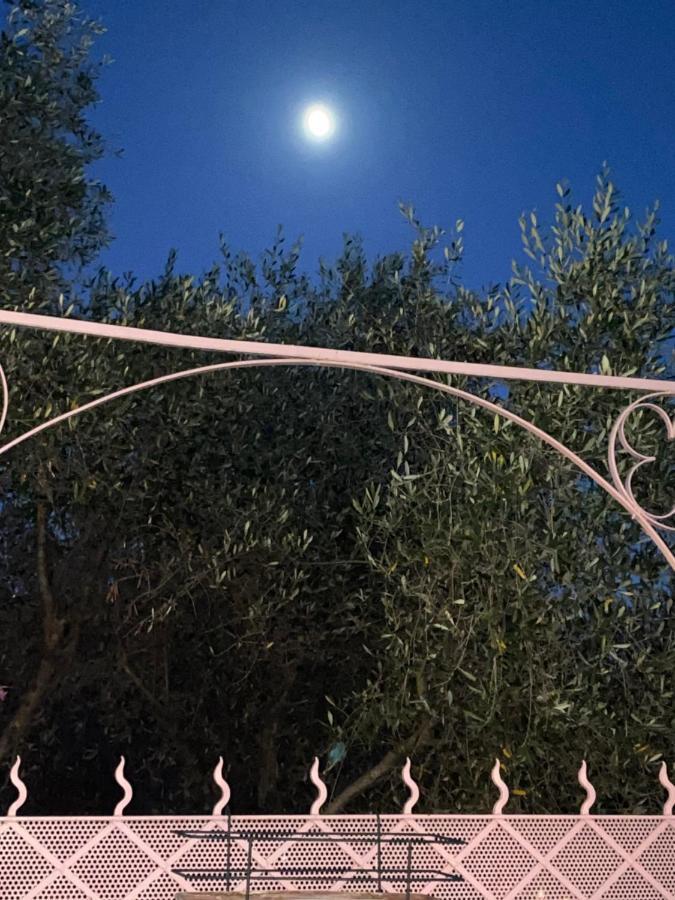 Villa Fieschi Cogorno المظهر الخارجي الصورة